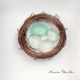 Four in the Nest Wall Art - Moose Mountain Trading Co.