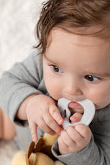 Activity Teether Buddy Lion - Moose Mountain Trading Co.
