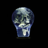 Blue Hydrangea LED Light