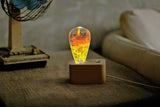 Solar Corona Resin LED Light