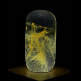 Fancy Resin LED Light