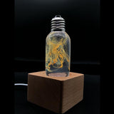 Fancy Resin LED Light