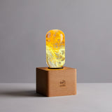 Fancy Resin LED Light