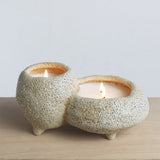 Sill Ceramic Agave and Primrose