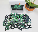 Aurora Borealis 50 Jigsaw Puzzle