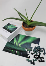 Aurora Borealis 50 Jigsaw Puzzle