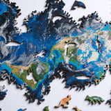 Earth Puzzle
