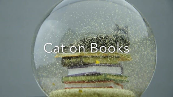 Cat & Books Snow Globe