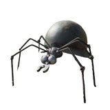 Helmet Army Ant