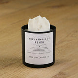 Fir Breckenridge Peak 8 Candle