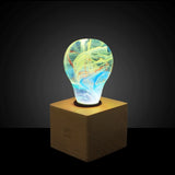 Fireworks Resin LED Light