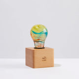 Fireworks Resin LED Light