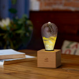 Golden Resin LED Light