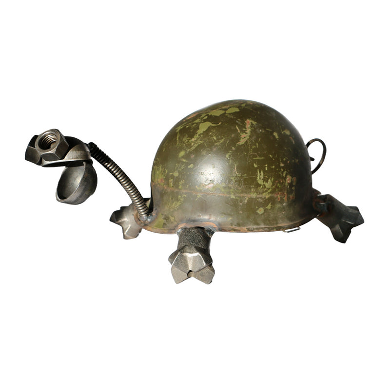 Helmet Turtle