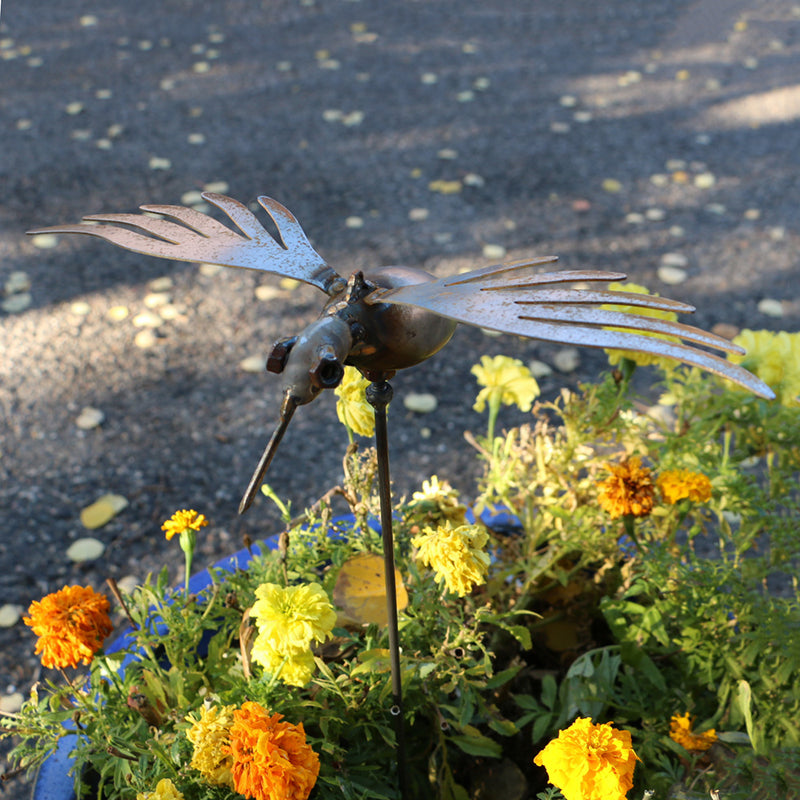 Humming Bird With Stake