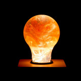 Sunflower Resin LED Light