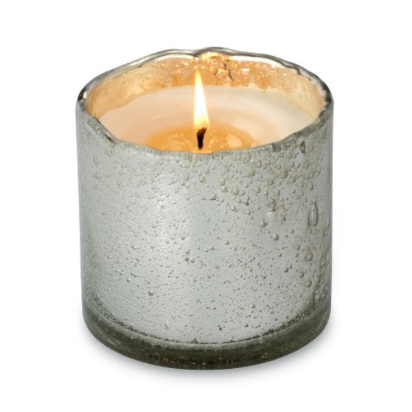 Silver Artisan Tumbler Bark