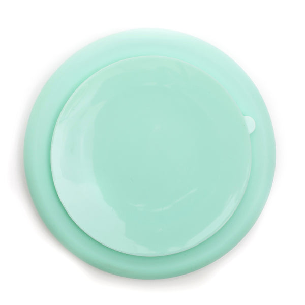 Bottom View of Bella Tunno plate with Fries before guys saying