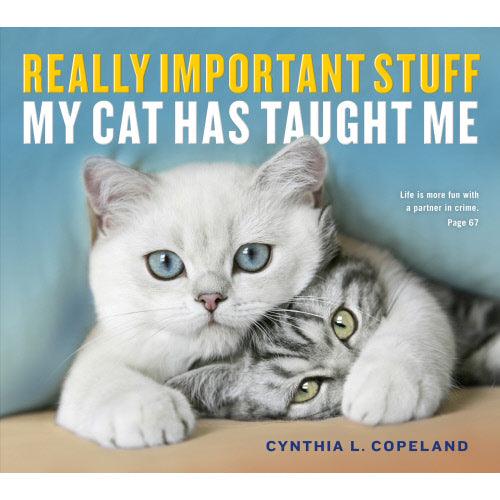 Cat Has Taught Me Book