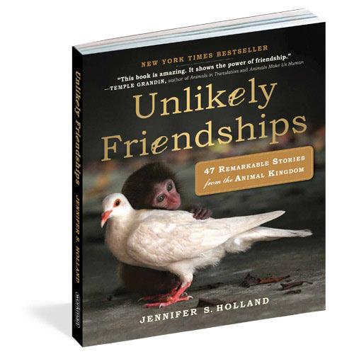 Unlikely Friendships Book - Moose Mountain Trading Co.