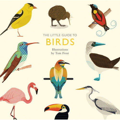 Little Guide to Birds