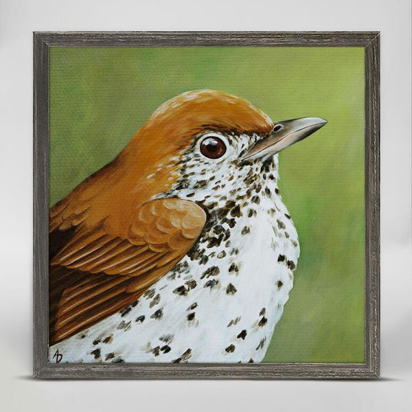 Thrush Art - Moose Mountain Trading Co.
