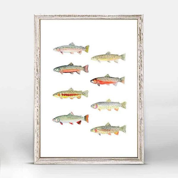 Eight in total, different types of trout are displayed with brightly colored detail against a white background.