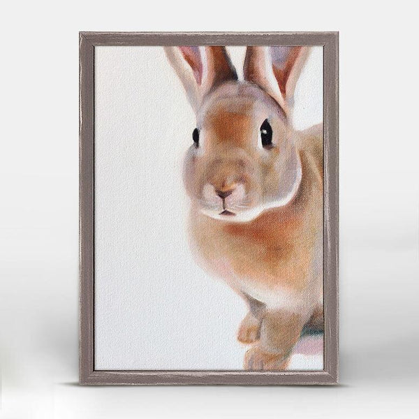 A close-up of a brown and white bunny  with dark brown eyes and ears perked facing forward.