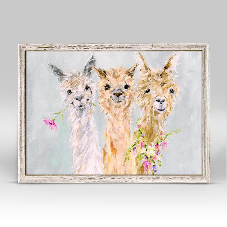 Sweet Alpacas Art