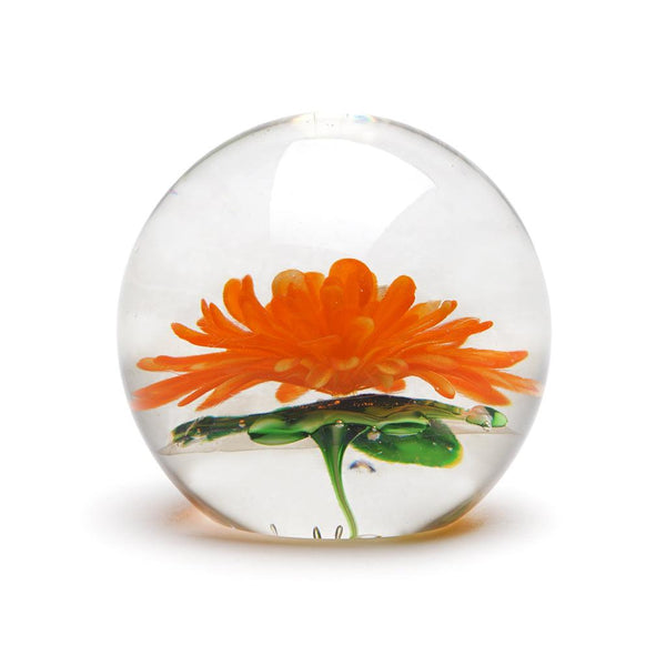 Glass Chrysanthemum Tangerine - Moose Mountain Trading Co.