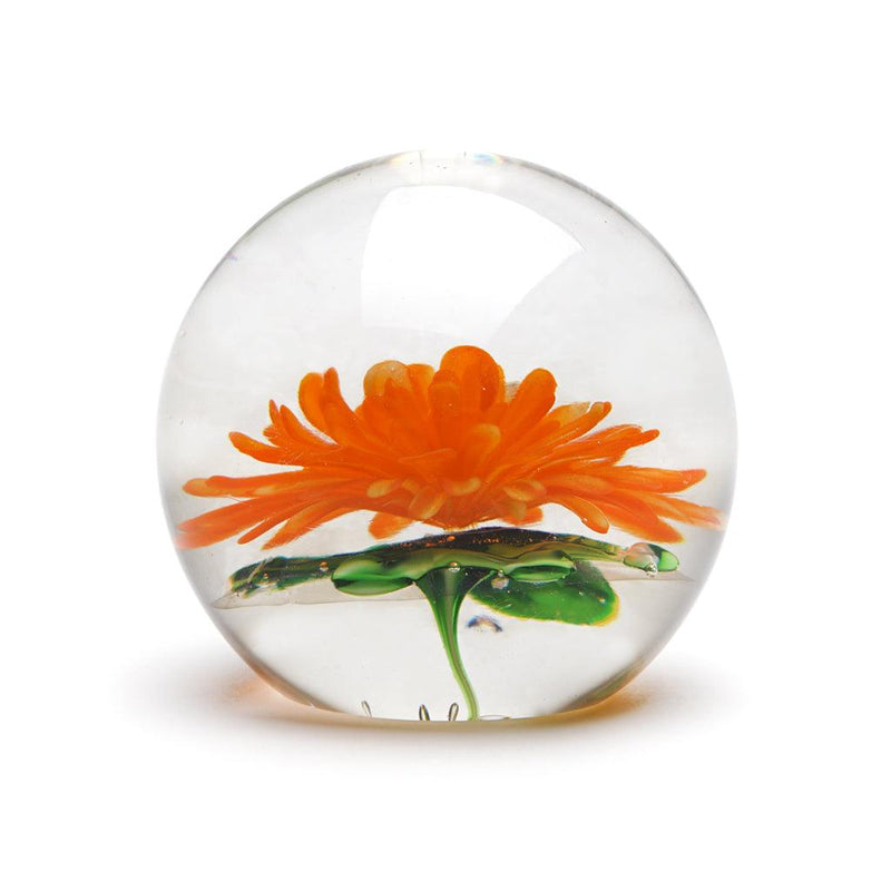 Glass Chrysanthemum Tangerine - Moose Mountain Trading Co.