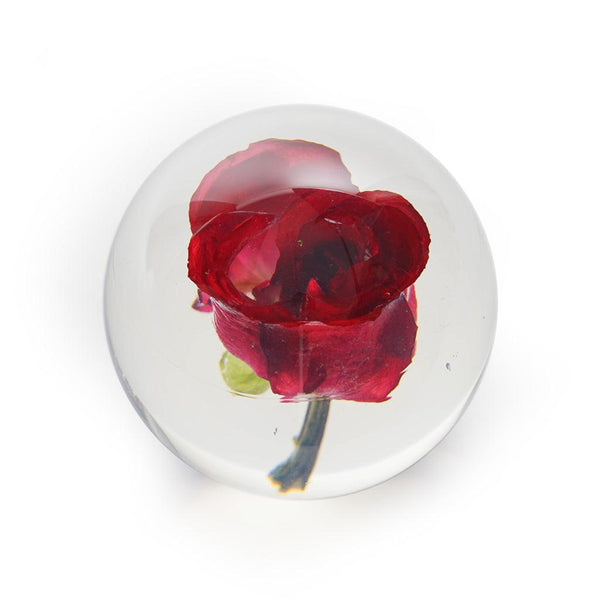 Red Rose - Moose Mountain Trading Co.
