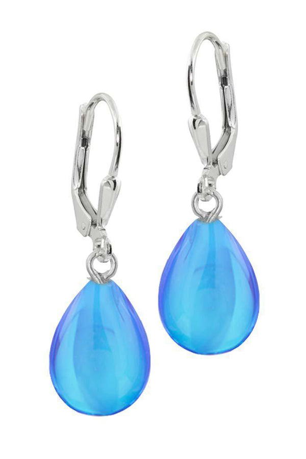 Blue Polished Drop Earring - Moose Mountain Trading Co.