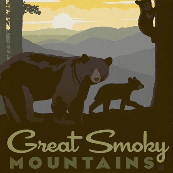 Great Smoky Mtns Puzzle