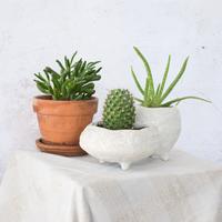 Sill Ceramic Rose and Cashmere