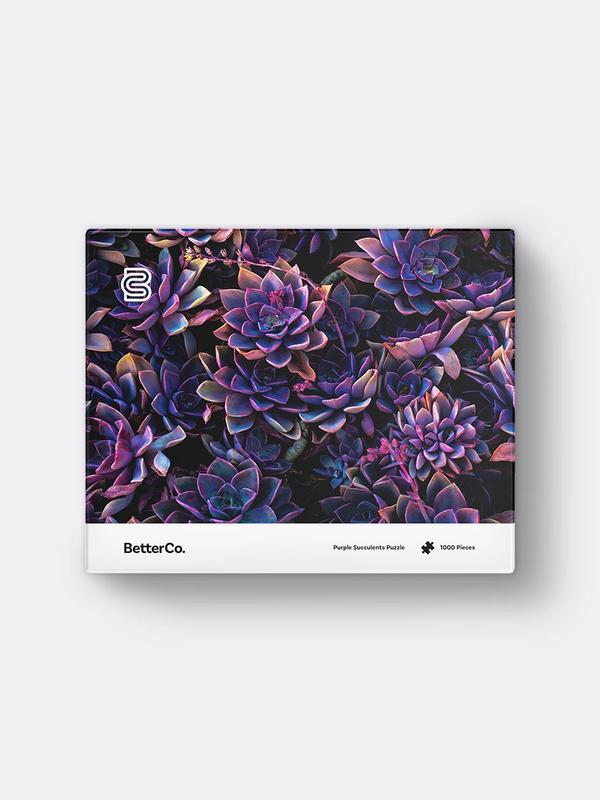 Purple succulent puzzle box