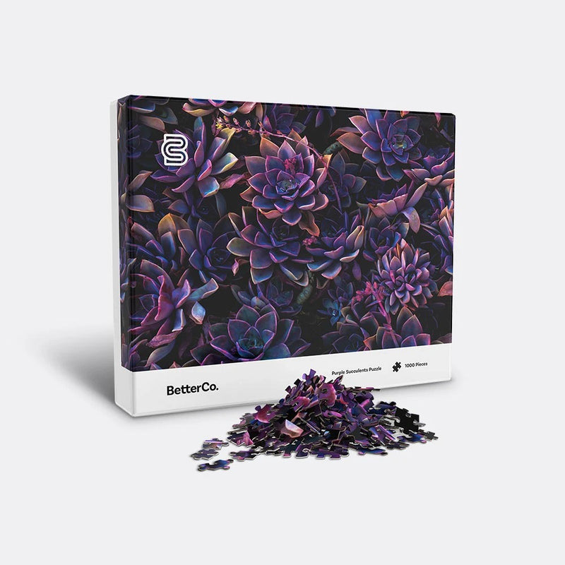 Purple Succulent puzzle box with mound of pieces in front
