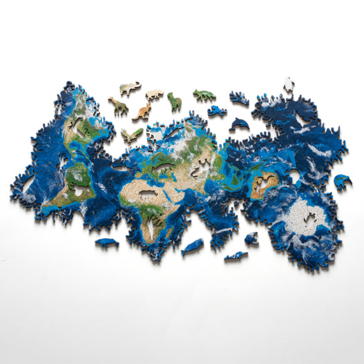 Earth Puzzle
