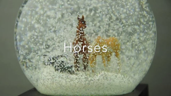 Horses Snow Globe