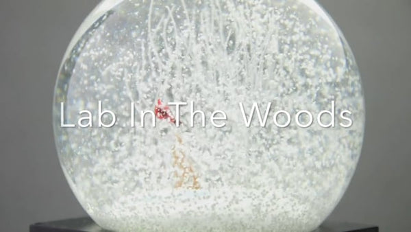 Lab In The Wood Snow Globe